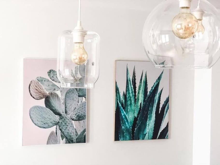 Los Cactus 1 لاس بالماس دي غران كاناريا المظهر الخارجي الصورة